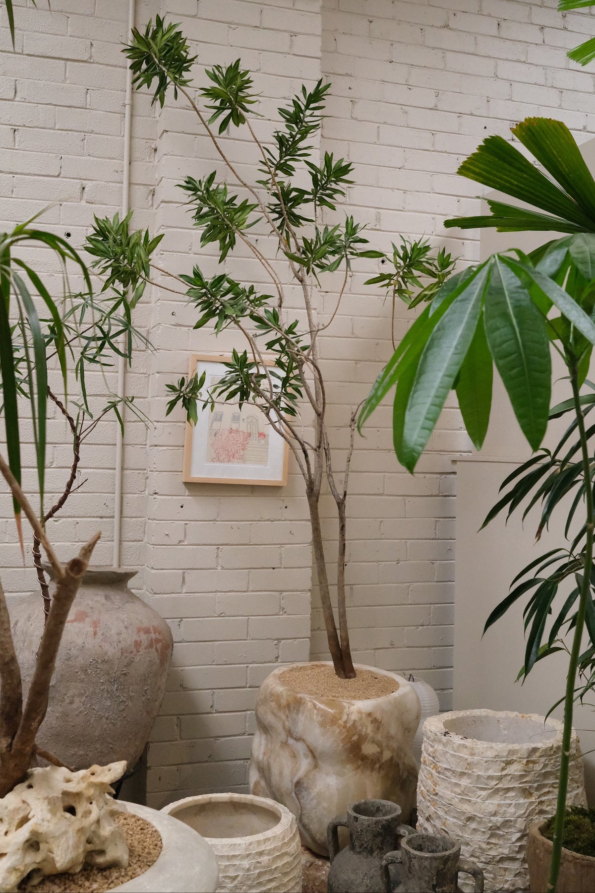 Song of Jamaica + Honed Onyx Planter