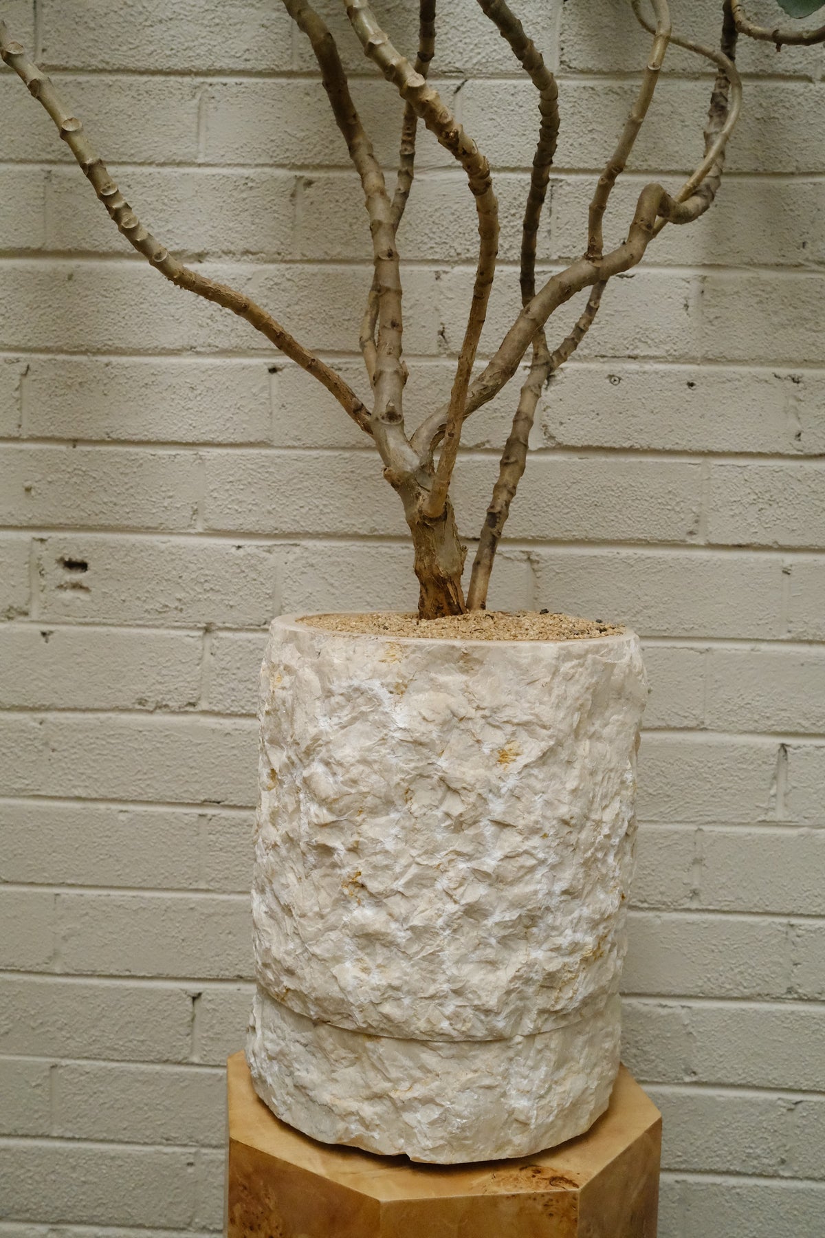 Felt Bush + Onyx Alba Planter, Rough Cut
