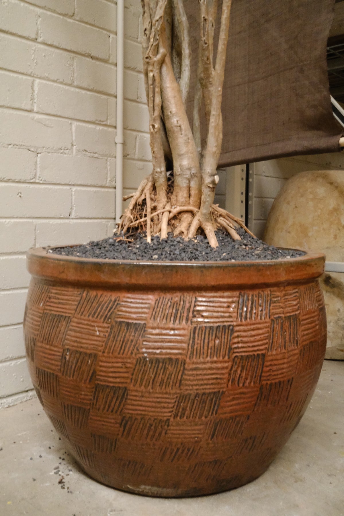 Large Song of Jamaica + Etched Mid-Century Planter