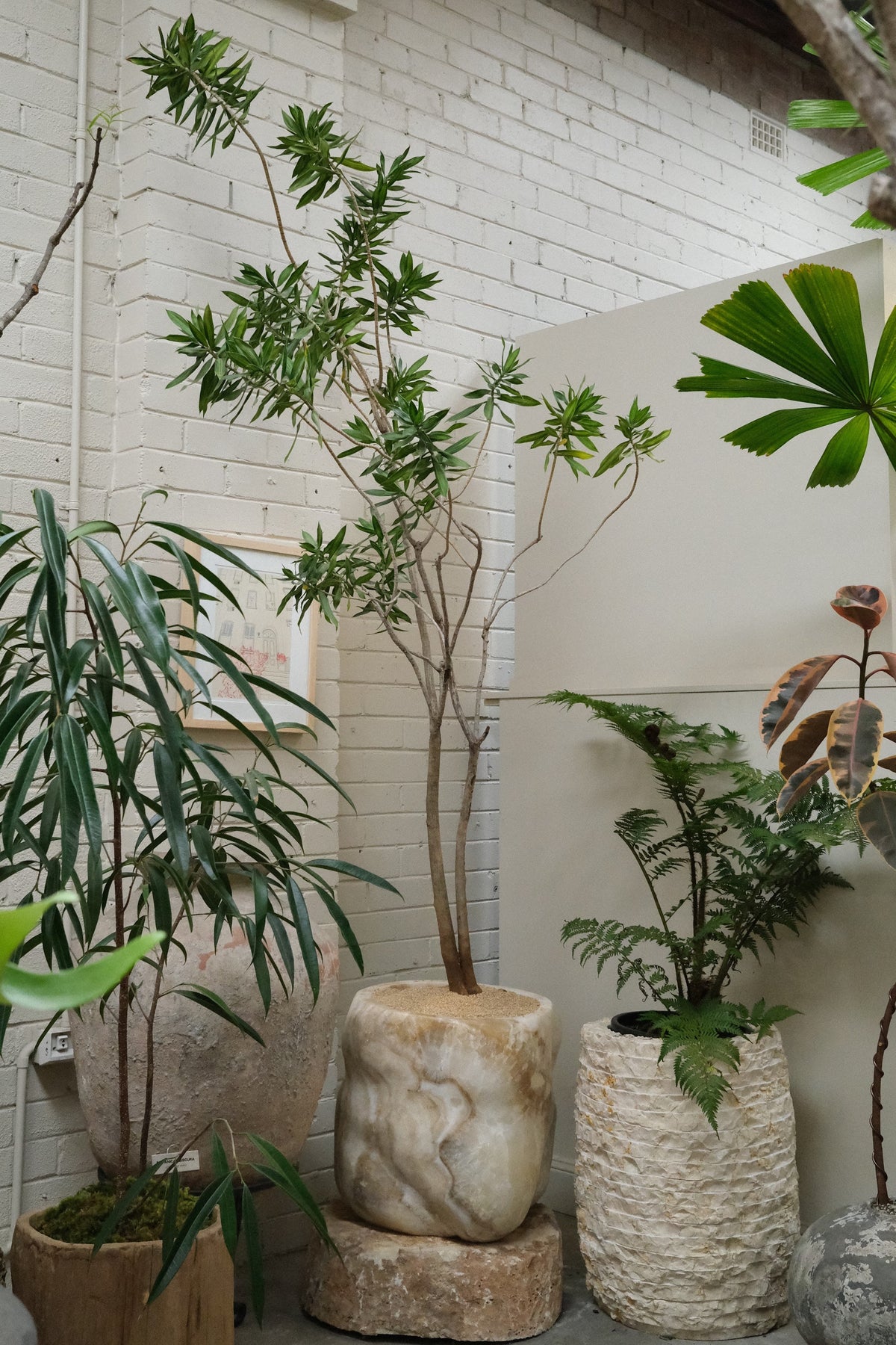 Song of Jamaica + Honed Onyx Planter