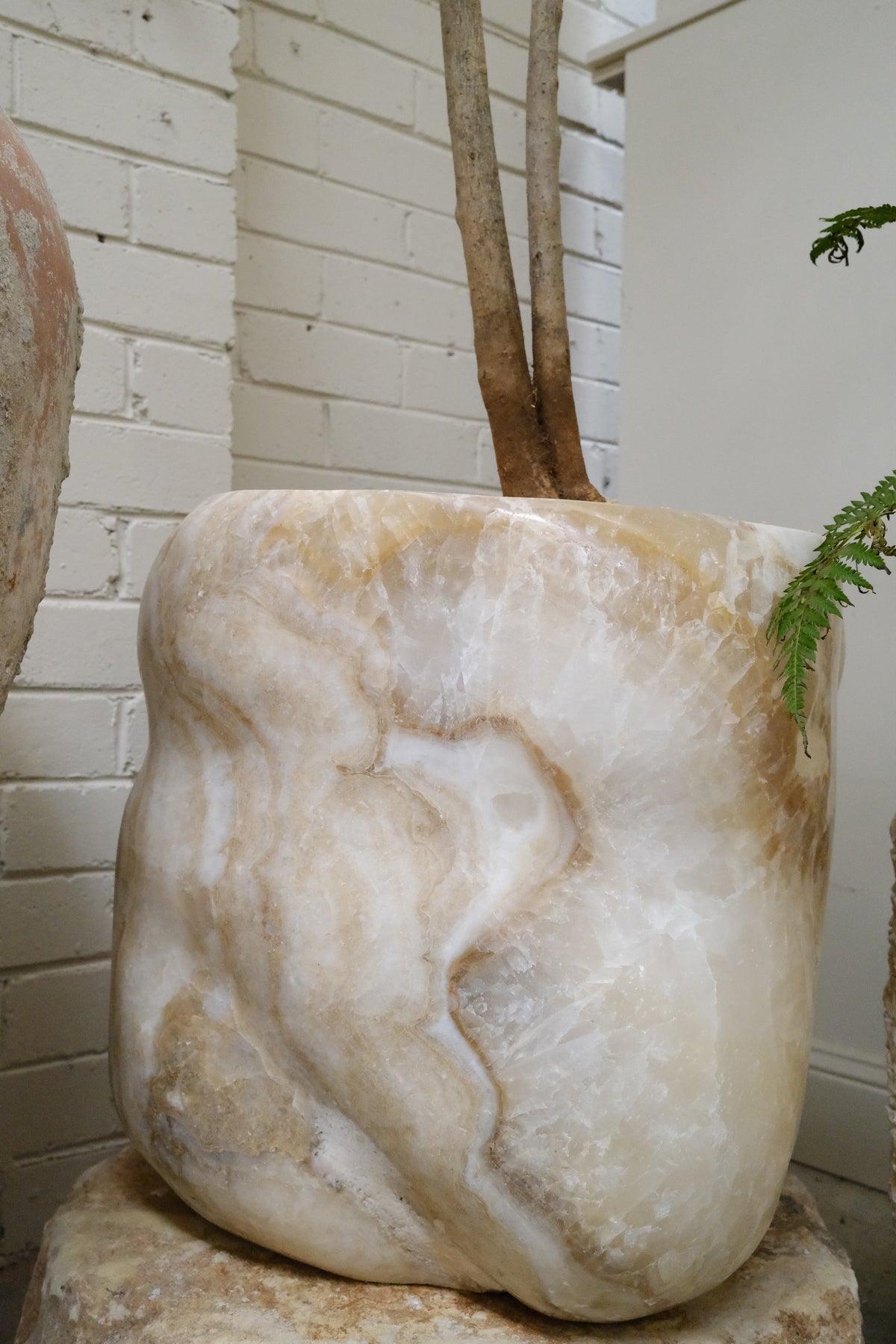 Song of Jamaica + Honed Onyx Planter