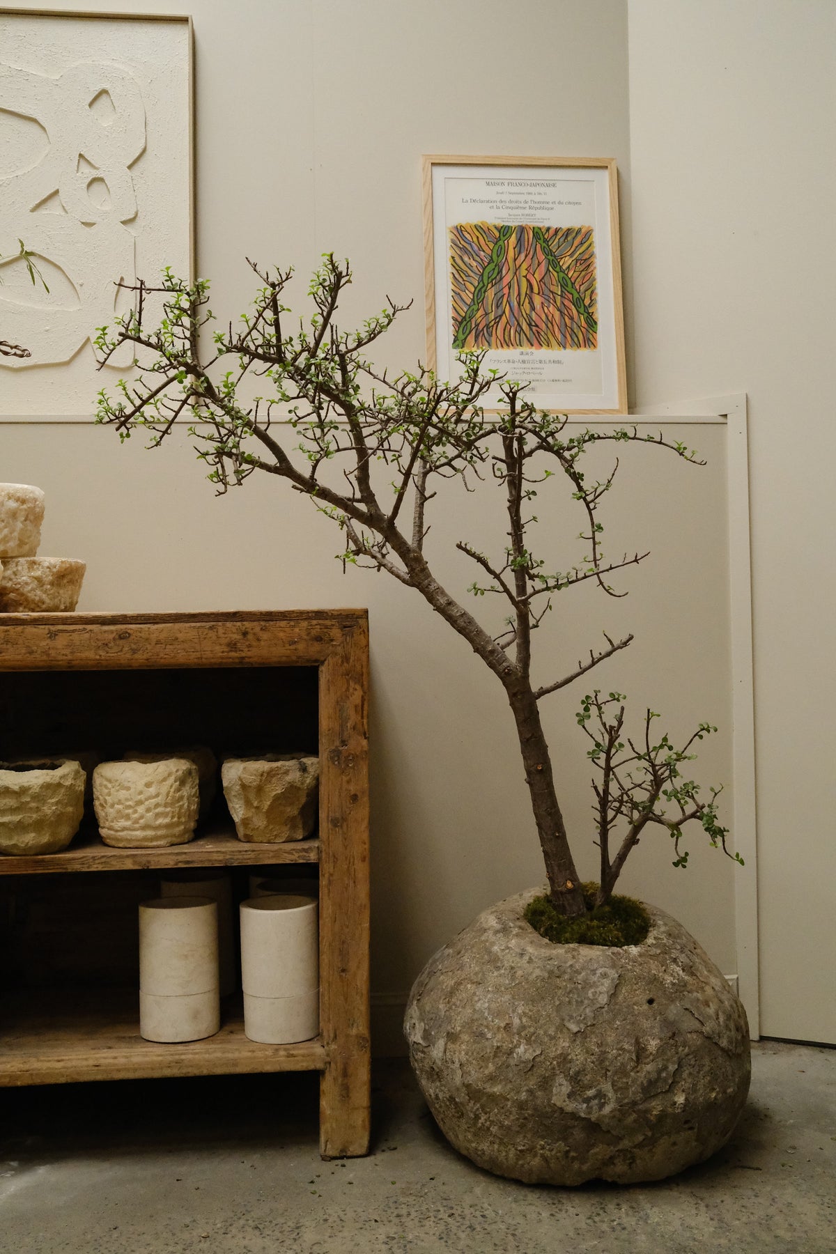 Jade Tree + Vintage Limestone Egg