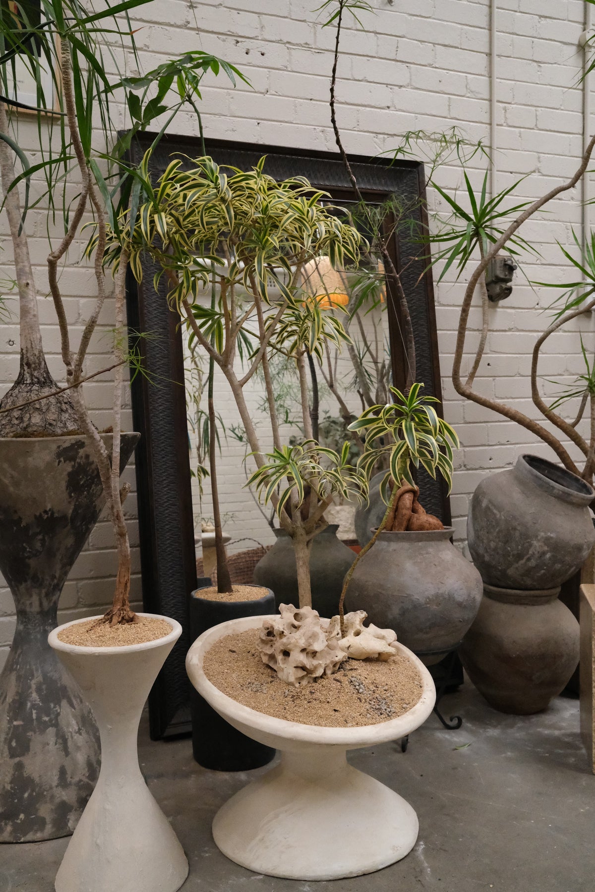 Song of India + Off Kilter Planter, White