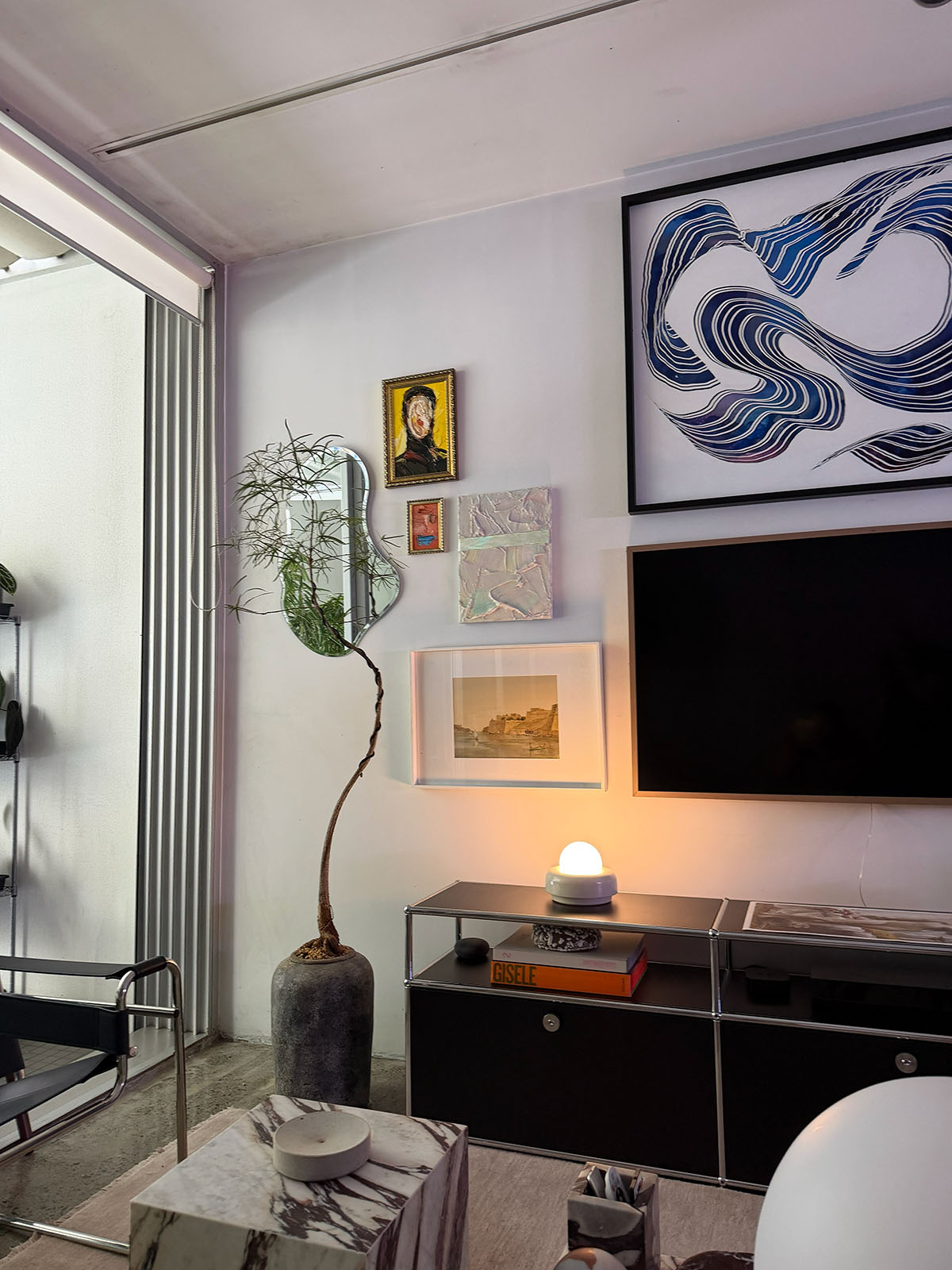 Queensland Bottle Tree [No. 2] + Lunar Drift Planter