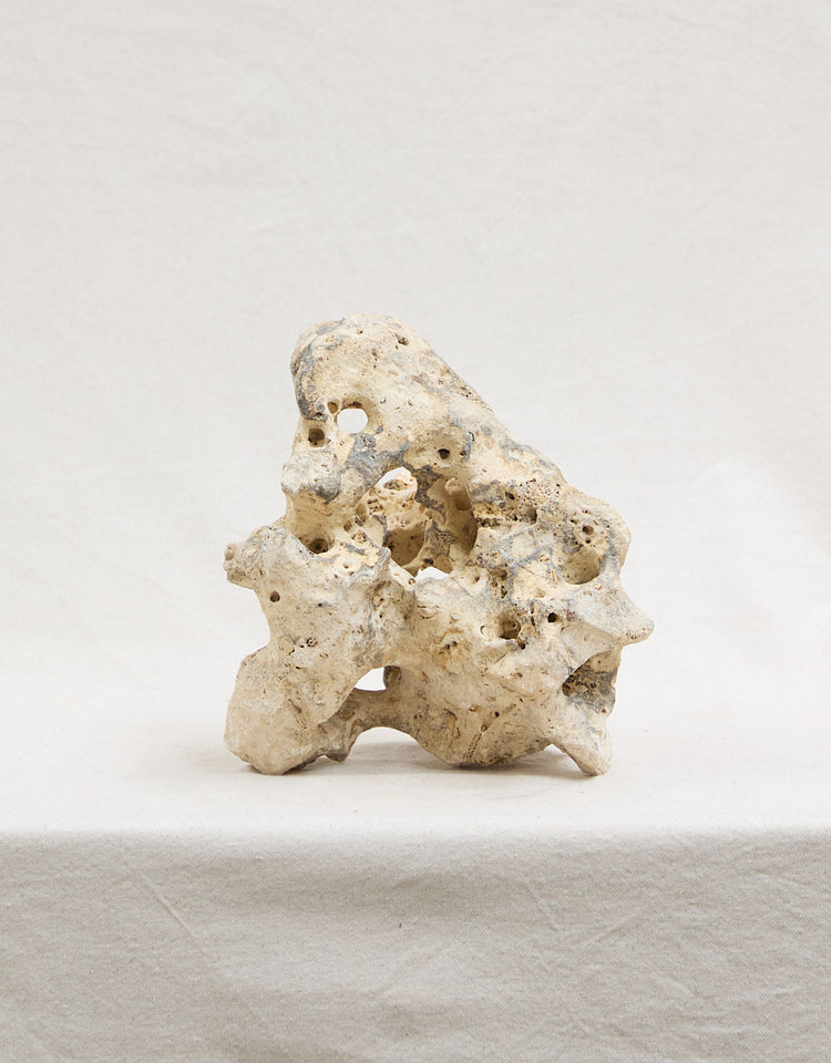 Limestone Staging Rock | Botanica Obscura